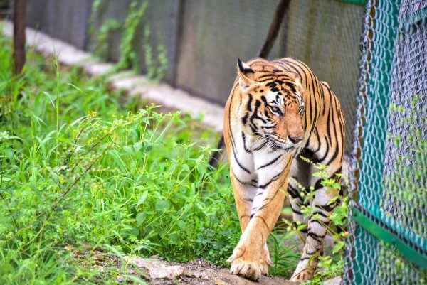 Biological Park Udaipur